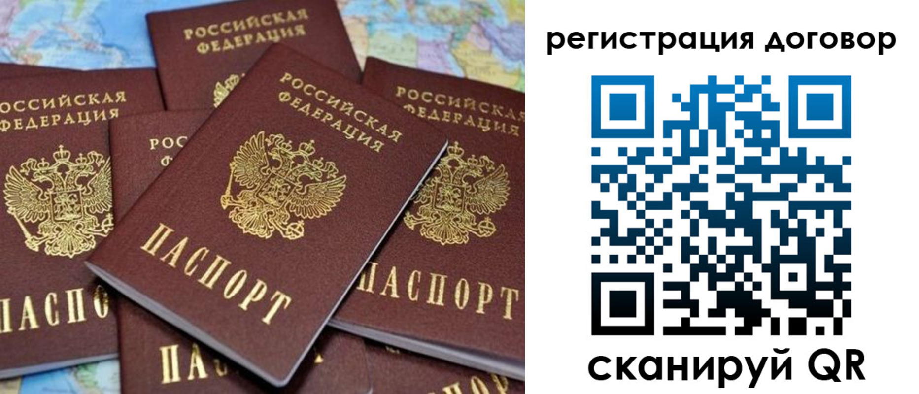 прописка гарантия в Вольске